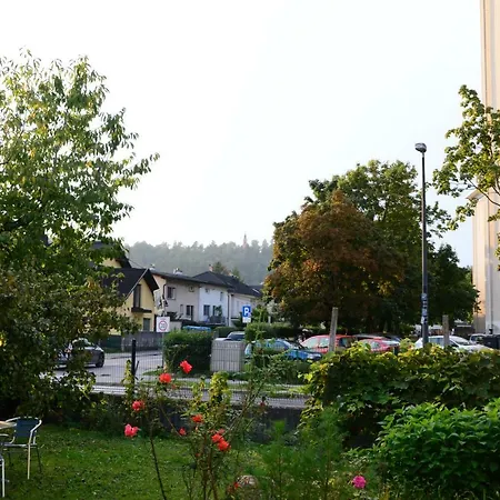 Flower Valley * Ljubljana